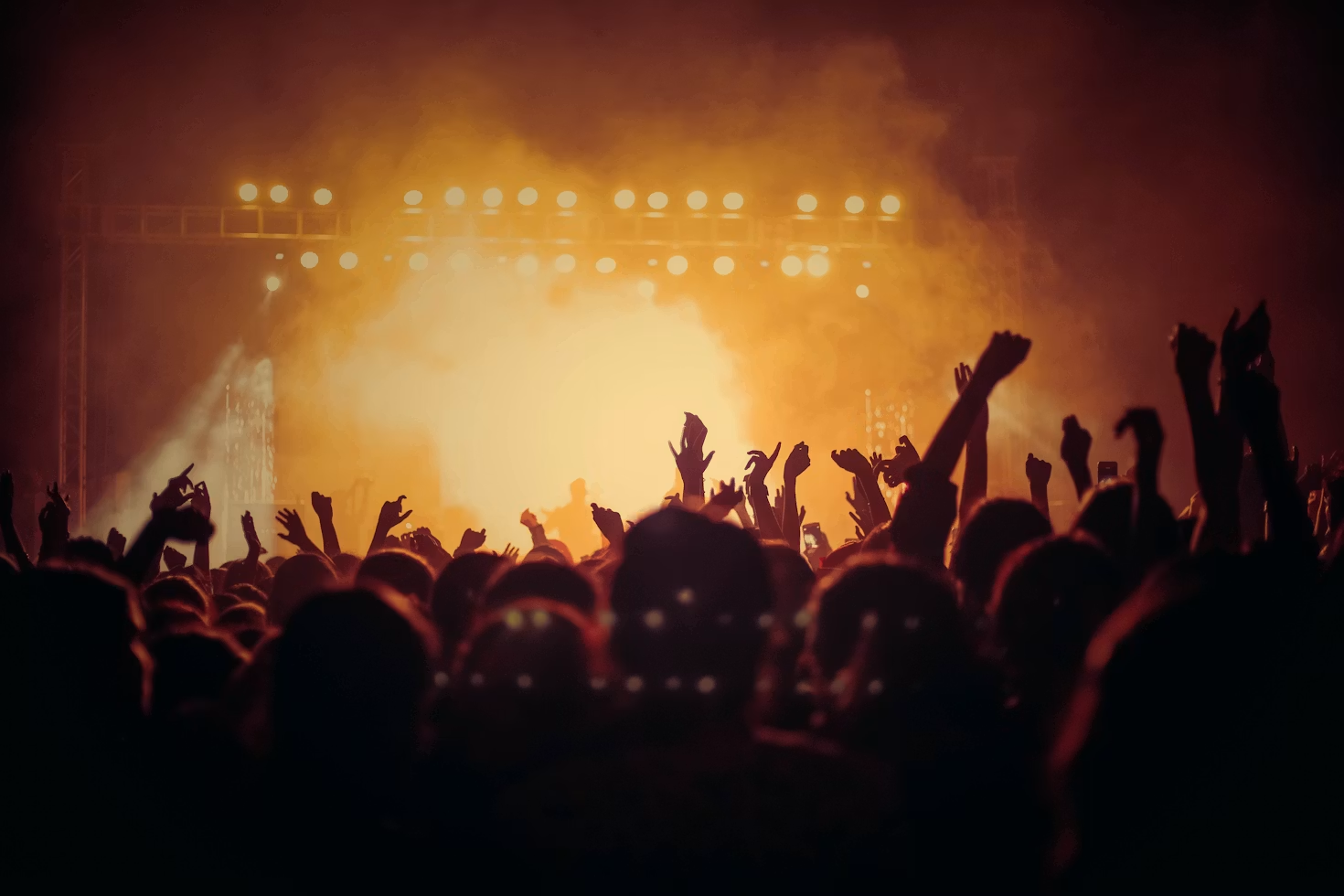 An excited audience at a live concert