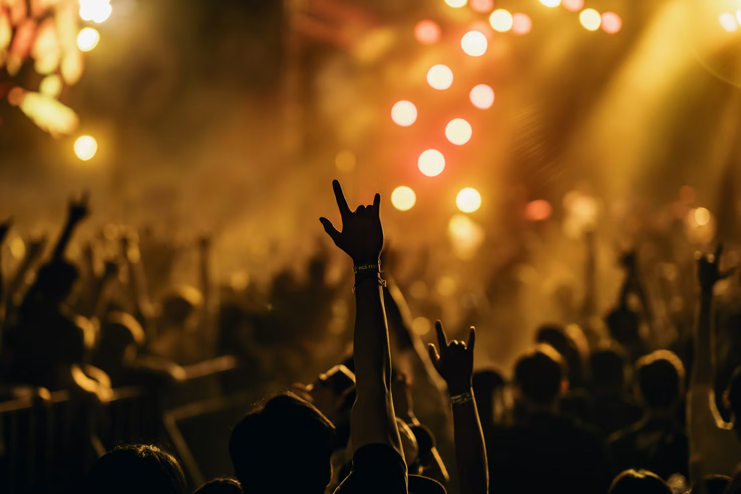 A lively crowd at a country concert